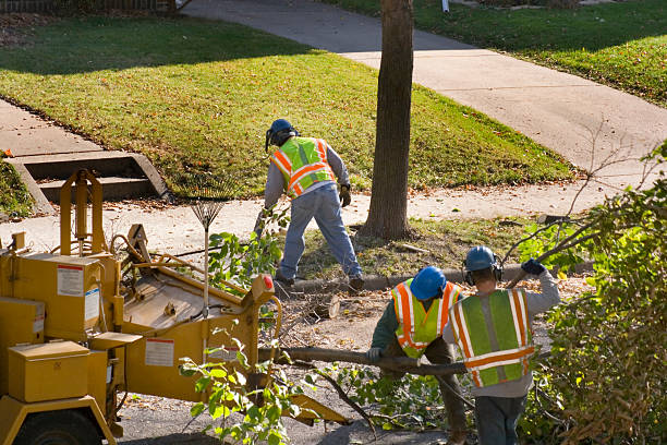 Lawn Watering Services in Mayville, MI